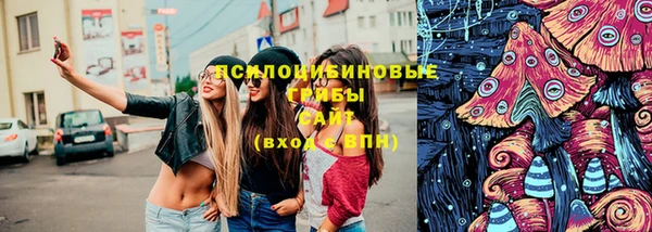 винт Алзамай